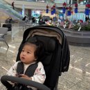 타임트레이딩 | 델타항공 트레이딩 카드, 탈 때 vs 내릴 때 언제 물어봐? (아기랑 직접 받은 후기)