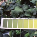 (주)세농 이미지