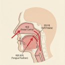 기초베트남어 배우기 과정 | 베트남어 배우기 기초 알파벳: 한국인이 가장 어려워하는 'ng' 발음 정복하기