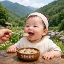 큰나무 주식회사 | 아기 중기 이유식, 산골이유식 이유식 무료 체험팩 후기. (중기1 이유식)