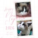 짱구와 동팔이 이미지