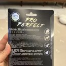 로댕 펫 살롱 이미지