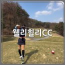 원웨이하우스 | 강원도 횡성 웰리힐리 CC 북코스 원웨이 라운딩 후기(feat. 캐디 2명)