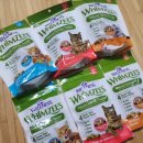 펫스토어 이미지