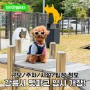 산북리쉼터 - 1500 | 강릉시 펫파크 반려견 놀이터 임시 개장! 주차 및 이용 방법 총정리