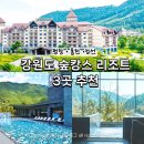 (주)힐리언스 | 강원도 숲캉스 호텔 리조트 추천, 인터컨티넨탈 알펜시아, 힐리언스 선마을, 파크로쉬
