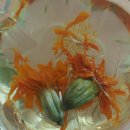 메리골드 | 자연의 달콤함을 담은 꿀꽃차 제주 메리골드 꿀꽃차 구입 후기