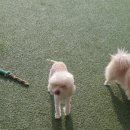 486독캠프 이미지