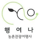 홍성옛날손칼국수 이미지