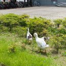 건강빵 만들기(주간)-오전 이미지