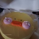 포쉬케이크 | 청주 도시락케이크 맛집 사창동 '포쉬케이크' 솔직 후기 #내돈내산