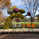 앞산어린이공원 놀이터 이미지