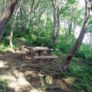 희희낙낙 이미지