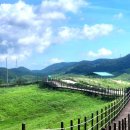 한우목장 이미지