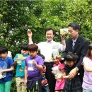 나비초등학교 이미지