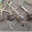 대정의원 이미지