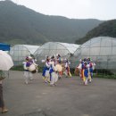 신평2리 신탑
