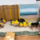 해창이레어린이집 이미지