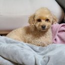 이상한 집 이미지