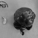 부산종합동물병원 이미지