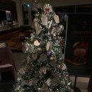 중앙로 R 스포츠타운길 | [춘천]스타벅스 더춘천의암호R점 _ 메뉴, 미디어아트 후기