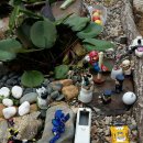 미르하우스1157 이미지