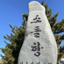 소돌어촌계 이미지