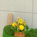 빛가온유치원 이미지