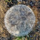 경운목장 이미지