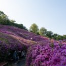 GM24편의점 이미지