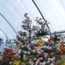 샬롬농원 이미지