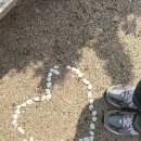 빌라 데 몬타냐 경주 이미지