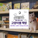 신죽2길 | 서점 고양이와 모임 많은 서점_이웃이 모이는 책방 방문 후기, 독서 모임&amp;영어 스터디&amp;고양이가 있는 서점