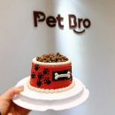 부평강아지케이크 &amp; 부평애견수제간식 맛집 펫브로 Pet Bro 방문후기