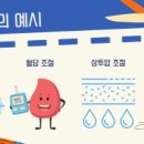 피아트짐 이미지