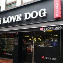 아이러브강아지 이미지