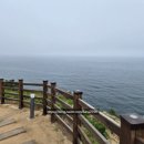 마법의빵 | 경북 영덕 - 빵지순례! 땅콩빵이 맛있는 '마법의빵'