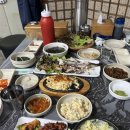 감탄회수산 이미지