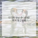 신세계한의원 이미지