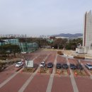 하구둑교차로 이미지