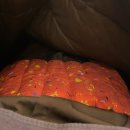 장전지하철역 공용주차장 앞 횡단보도 | 금정구 피부관리 원에스테틱 솔직후기