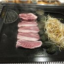 심쿵돼지 이미지