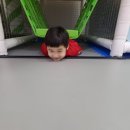 경희대 태권도 아이토리짐 | “이렇게까지 즐거워도 되나요? 2학년 주말 특별 행사 후기💛”