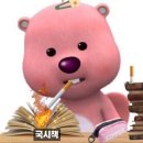 63국시