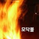 모닥불 이미지
