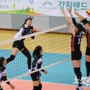 목포여자상업고등학교 이미지