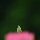 한국카메라박물관 이미지