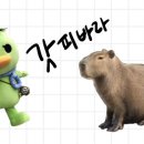 지선여행사 이미지