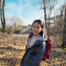 이름없는 묘원(비석 이미지