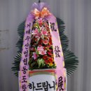 부영호